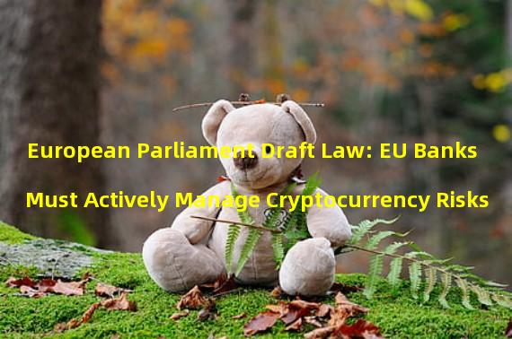 European Parliament Draft Law: EU Banks Must Actively Manage Cryptocurrency Risks