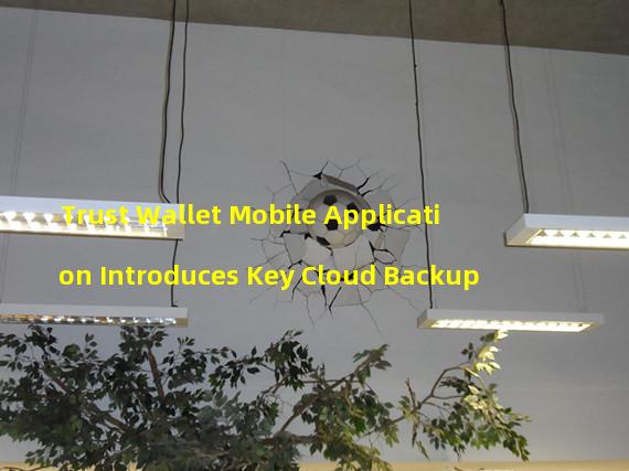 Trust Wallet Mobile Application Introduces Key Cloud Backup