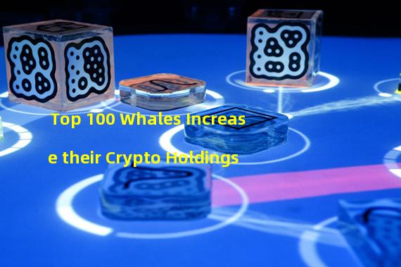 Top 100 Whales Increase their Crypto Holdings