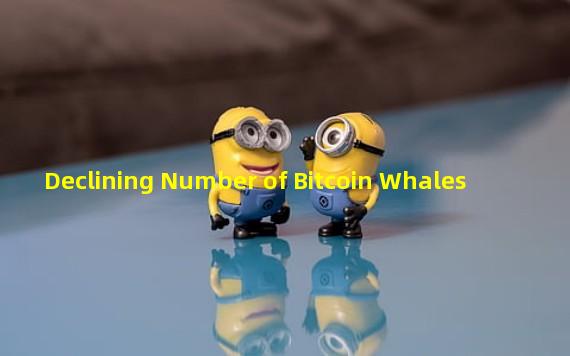 Declining Number of Bitcoin Whales 