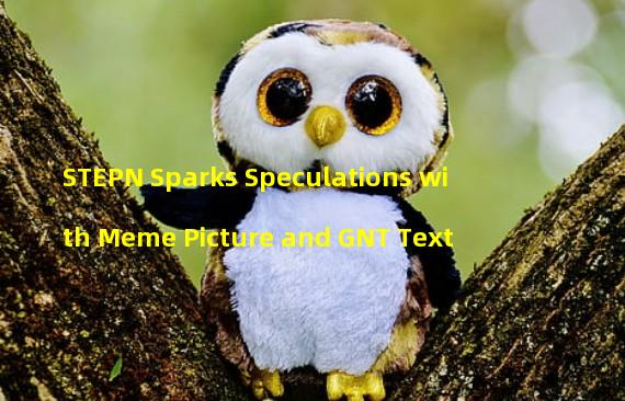 STEPN Sparks Speculations with Meme Picture and GNT Text