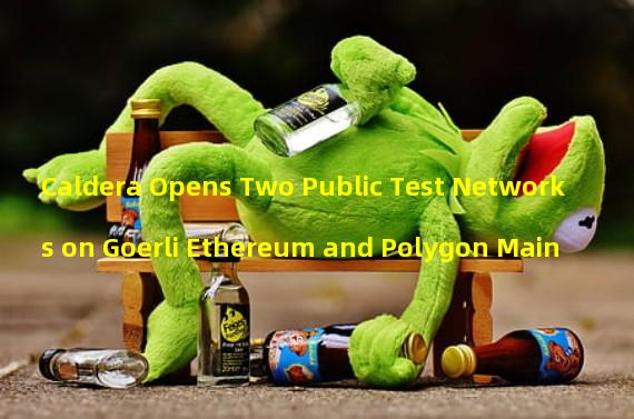 Caldera Opens Two Public Test Networks on Goerli Ethereum and Polygon Main