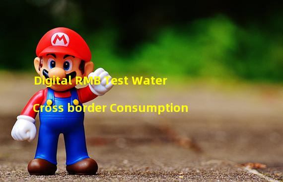 Digital RMB Test Water Cross border Consumption