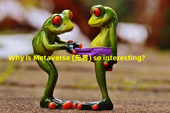 Why is Metaverse (元界) so interesting?