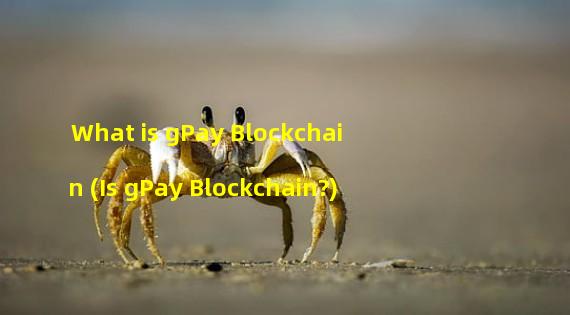 What is gPay Blockchain (Is gPay Blockchain?) 