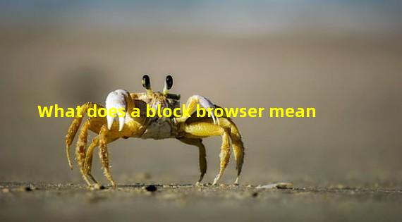 What does a block browser mean